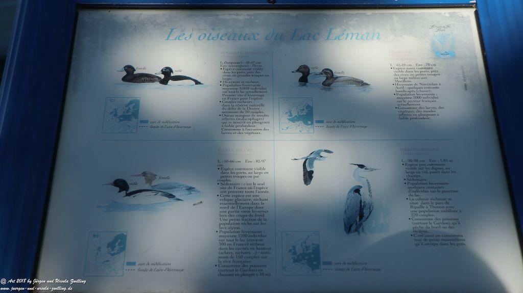 Évian-les-Bains - Genfer See - Lac Léman - Frankreich