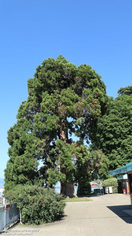 Évian-les-Bains - Genfer See - Lac Léman - Frankreich