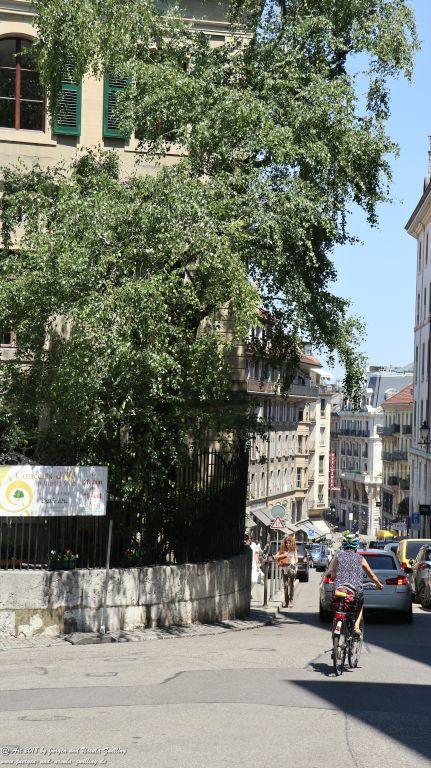 Genf - Genève - Genfer See - Lac Léman - Schweiz