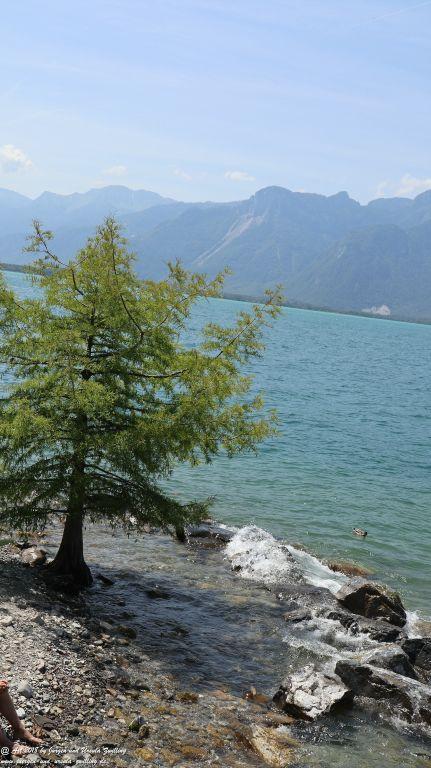 Montreux - Genfer See - Lac Léman - Schweiz