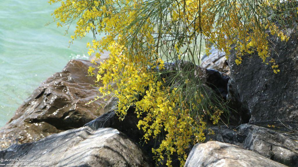 Montreux - Genfer See - Lac Léman - Schweiz
