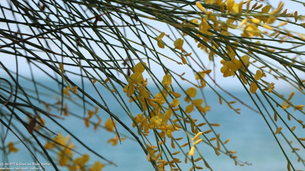 Montreux - Genfer See - Lac Léman - Schweiz