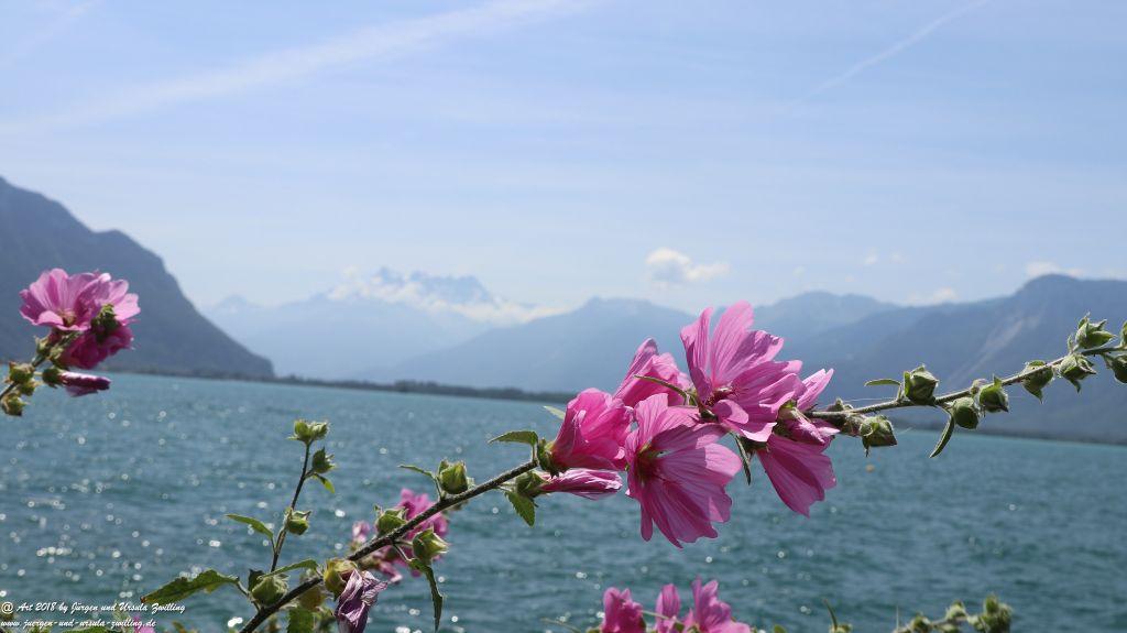 Montreux - Genfer See - Lac Léman - Schweiz