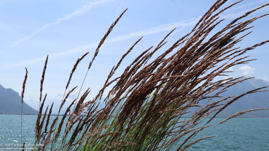 Montreux - Genfer See - Lac Léman - Schweiz
