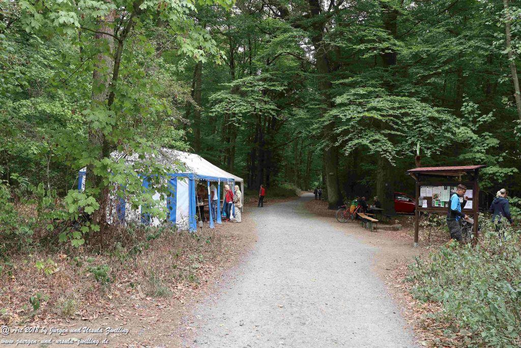 Internationaler Waldkunstpfad - Kunst Ökologie in Darmstadt