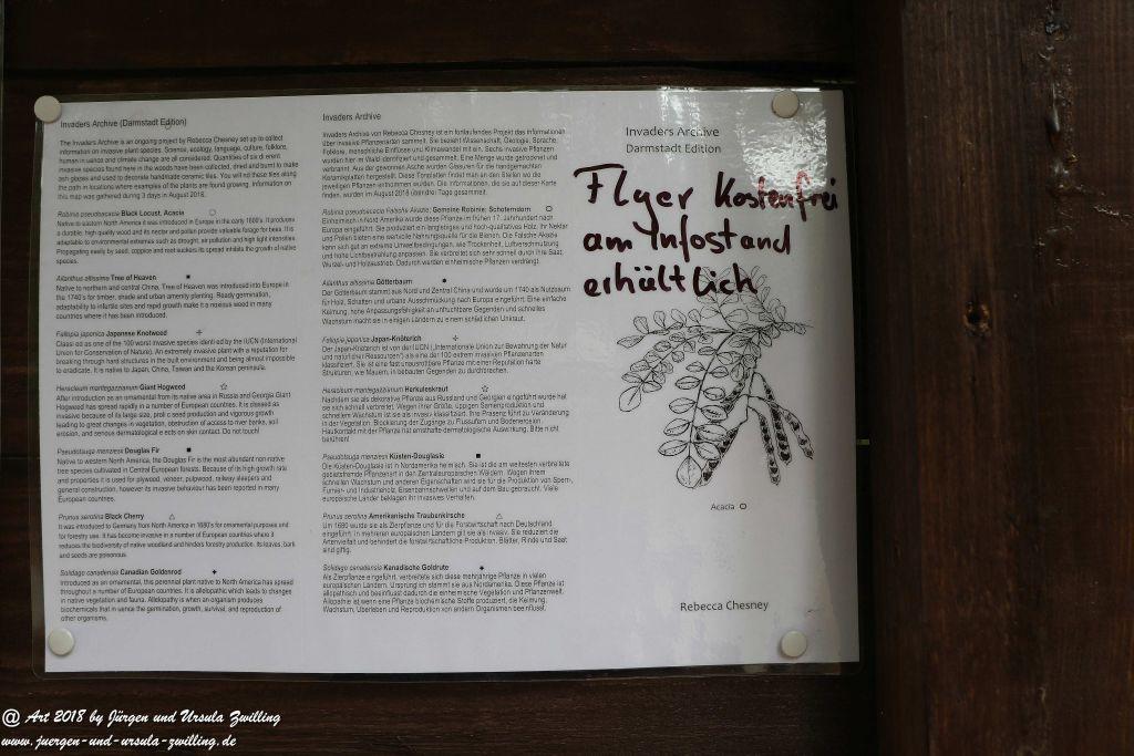 Internationaler Waldkunstpfad - Kunst Ökologie in Darmstadt