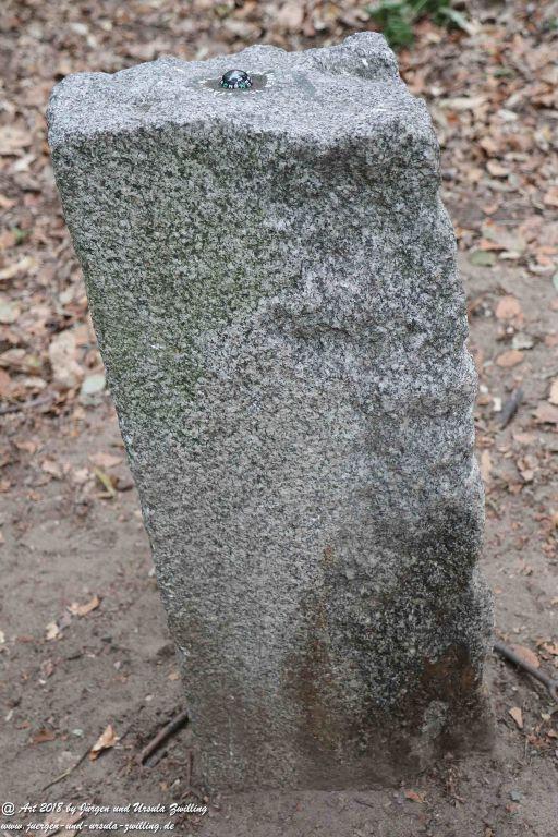 Internationaler Waldkunstpfad - Kunst Ökologie in Darmstadt