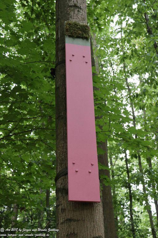 Internationaler Waldkunstpfad - Kunst Ökologie in Darmstadt