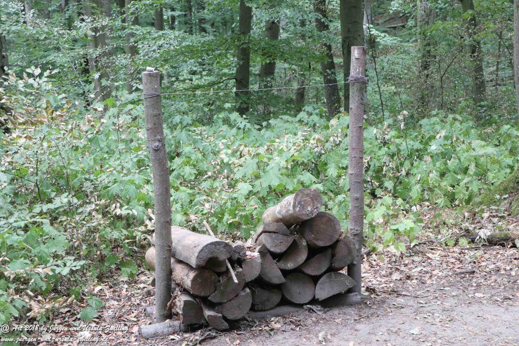 Internationaler Waldkunstpfad - Kunst Ökologie in Darmstadt