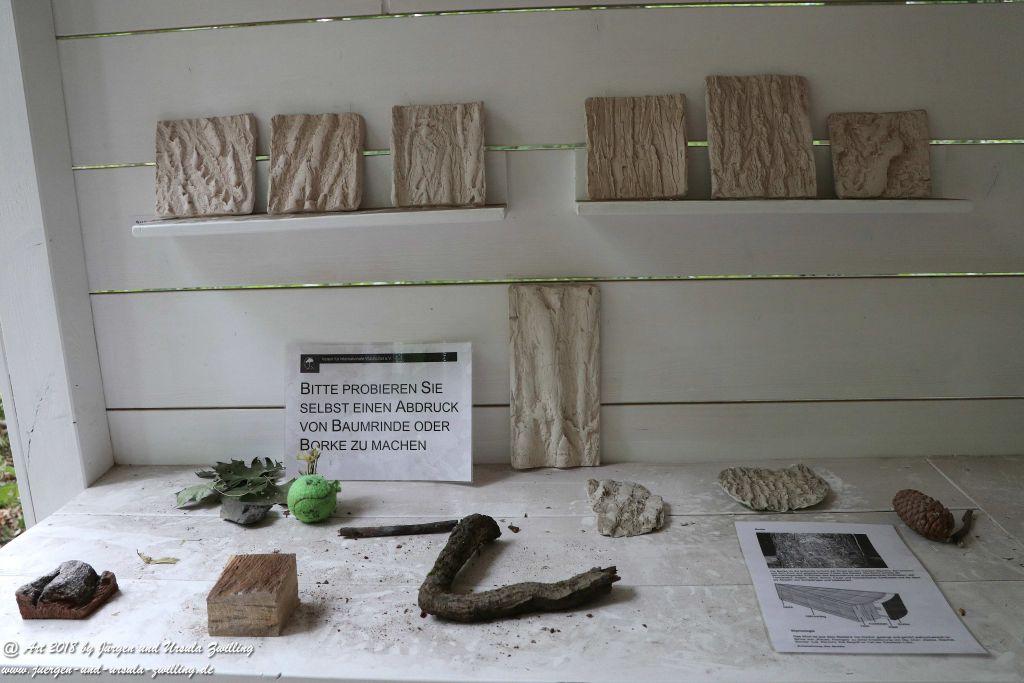 Internationaler Waldkunstpfad - Kunst Ökologie in Darmstadt