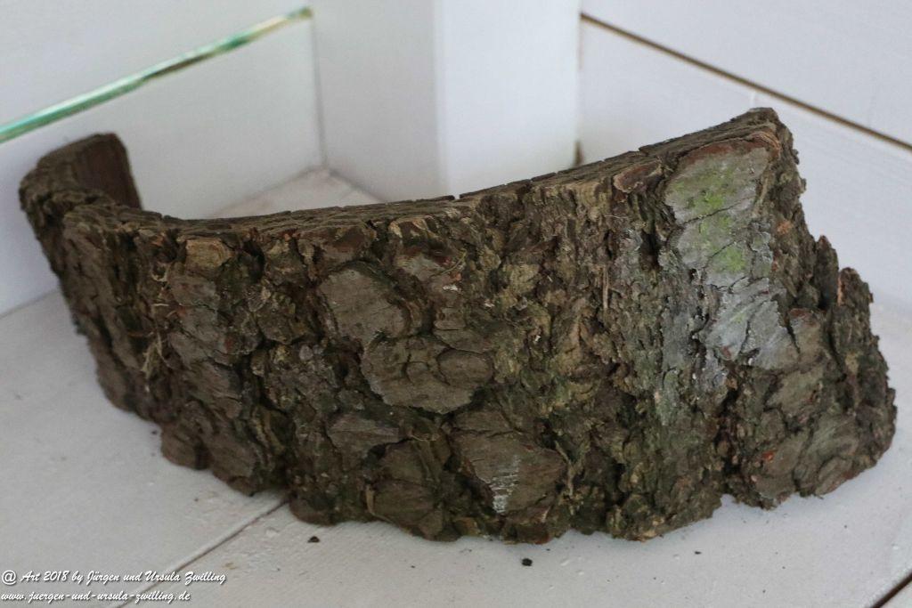 Internationaler Waldkunstpfad - Kunst Ökologie in Darmstadt