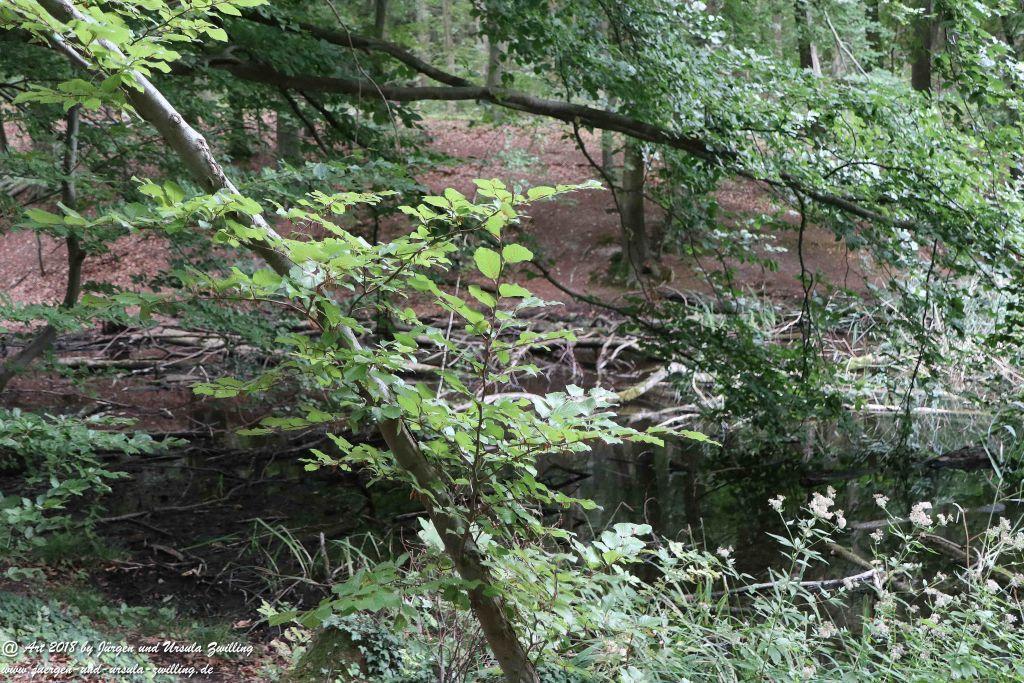 Internationaler Waldkunstpfad - Kunst Ökologie in Darmstadt