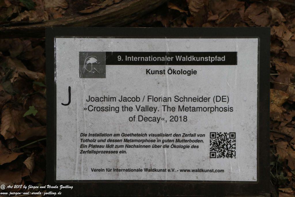 Internationaler Waldkunstpfad - Kunst Ökologie in Darmstadt