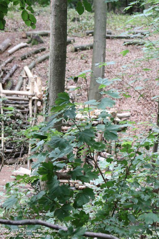 Internationaler Waldkunstpfad - Kunst Ökologie in Darmstadt