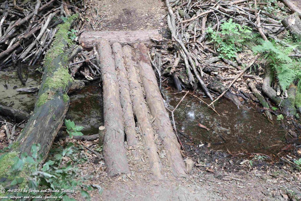 Internationaler Waldkunstpfad - Kunst Ökologie in Darmstadt
