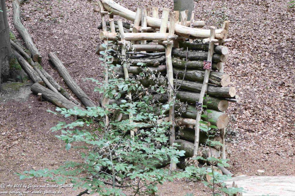 Internationaler Waldkunstpfad - Kunst Ökologie in Darmstadt