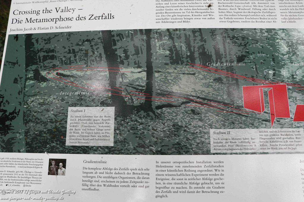 Internationaler Waldkunstpfad - Kunst Ökologie in Darmstadt