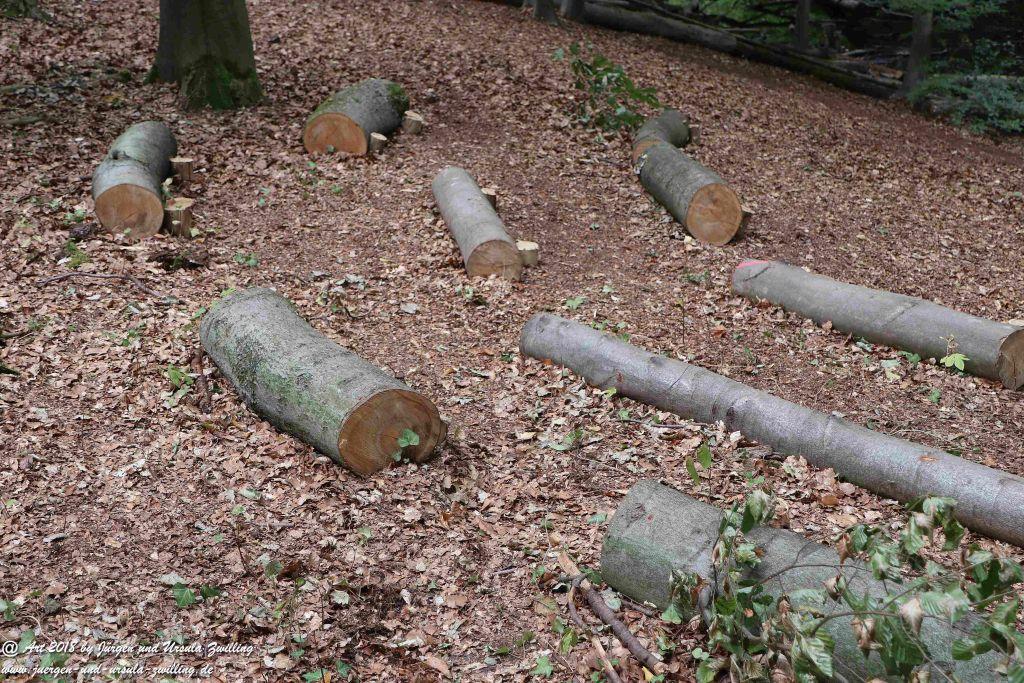 Internationaler Waldkunstpfad - Kunst Ökologie in Darmstadt