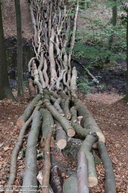 Internationaler Waldkunstpfad - Kunst Ökologie in Darmstadt