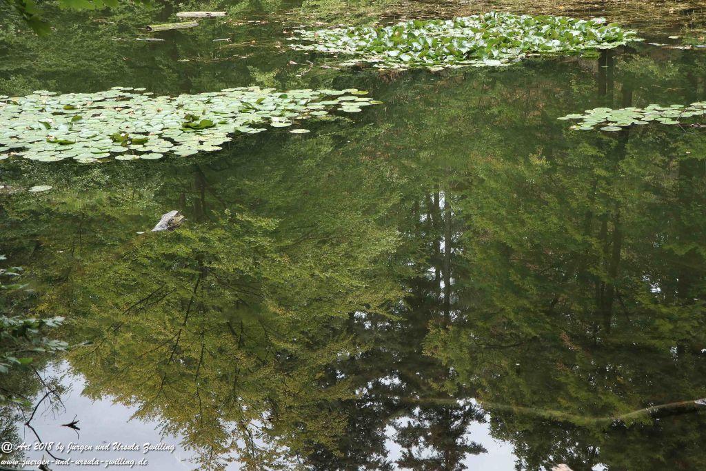 Internationaler Waldkunstpfad - Kunst Ökologie in Darmstadt