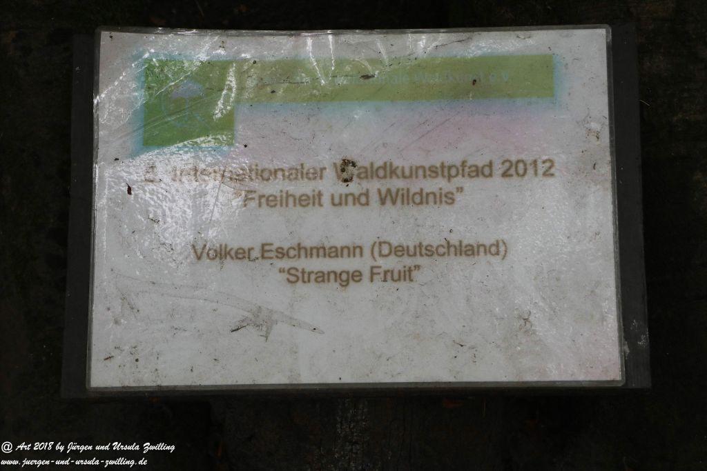 Internationaler Waldkunstpfad - Kunst Ökologie in Darmstadt