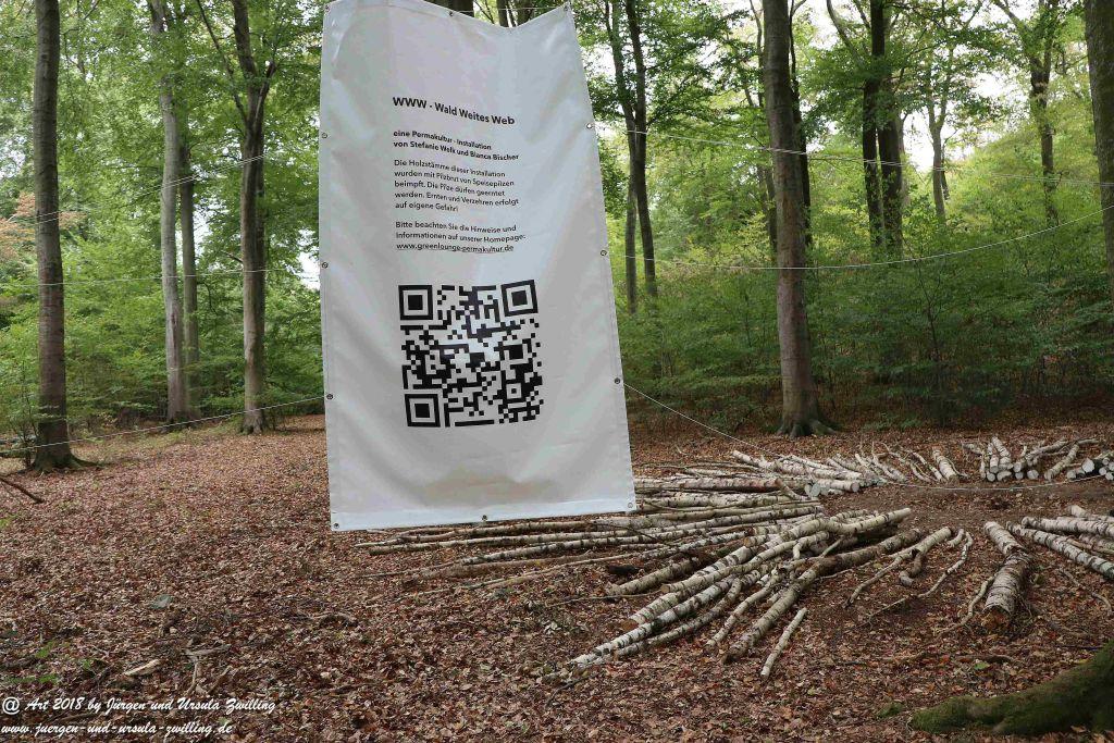 Internationaler Waldkunstpfad - Kunst Ökologie in Darmstadt