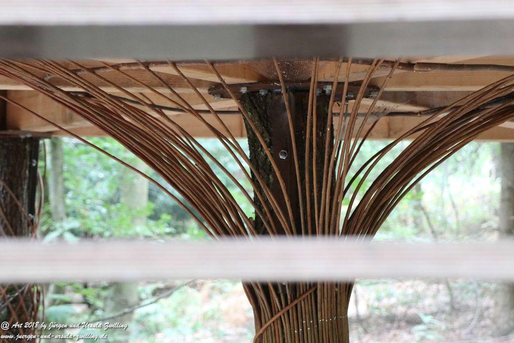 Internationaler Waldkunstpfad - Kunst Ökologie in Darmstadt