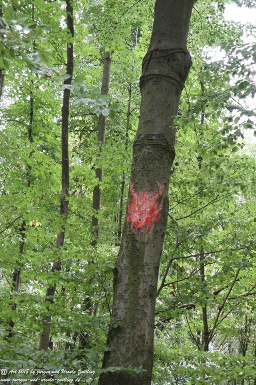 Internationaler Waldkunstpfad - Kunst Ökologie in Darmstadt
