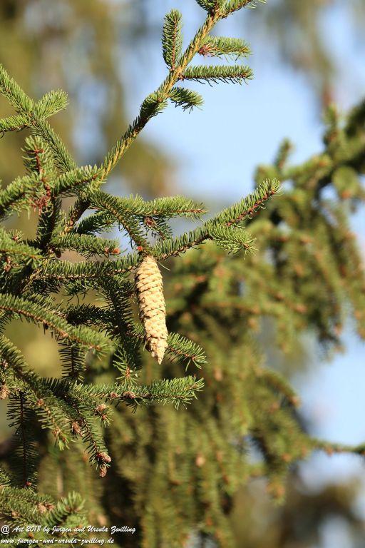 Herbst in Rheinhessen Ober Olmer Wald und Finther Felder