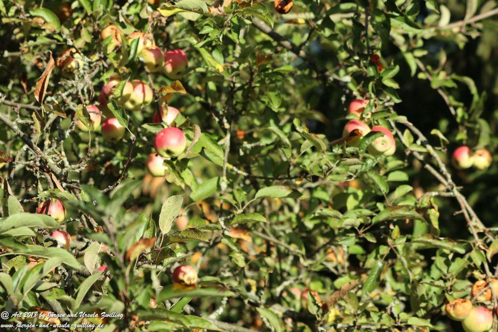 Herbst in Rheinhessen Ober Olmer Wald und Finther Felder