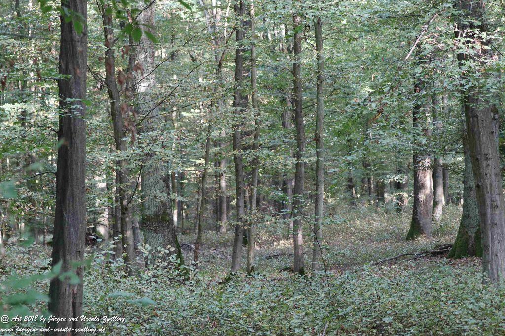 Herbst in Rheinhessen Ober Olmer Wald und Finther Felder