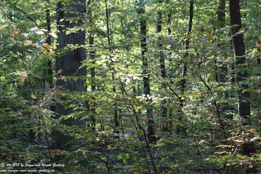 Herbst in Rheinhessen Ober Olmer Wald und Finther Felder