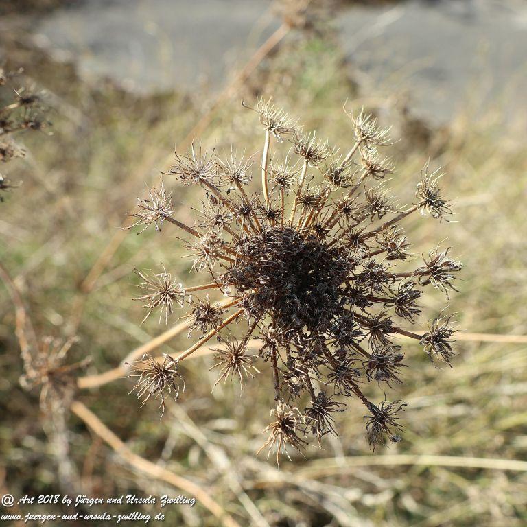 Herbst in Rheinhessen Ober Olmer Wald und Finther Felder