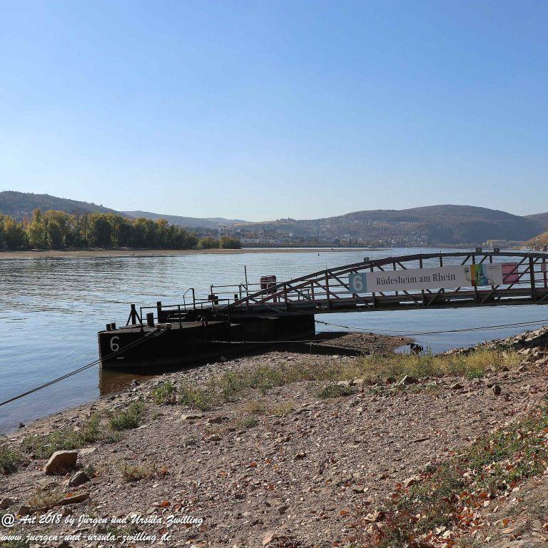 Niedrigwasser am Rhein - Rüdesheim im Rheingau