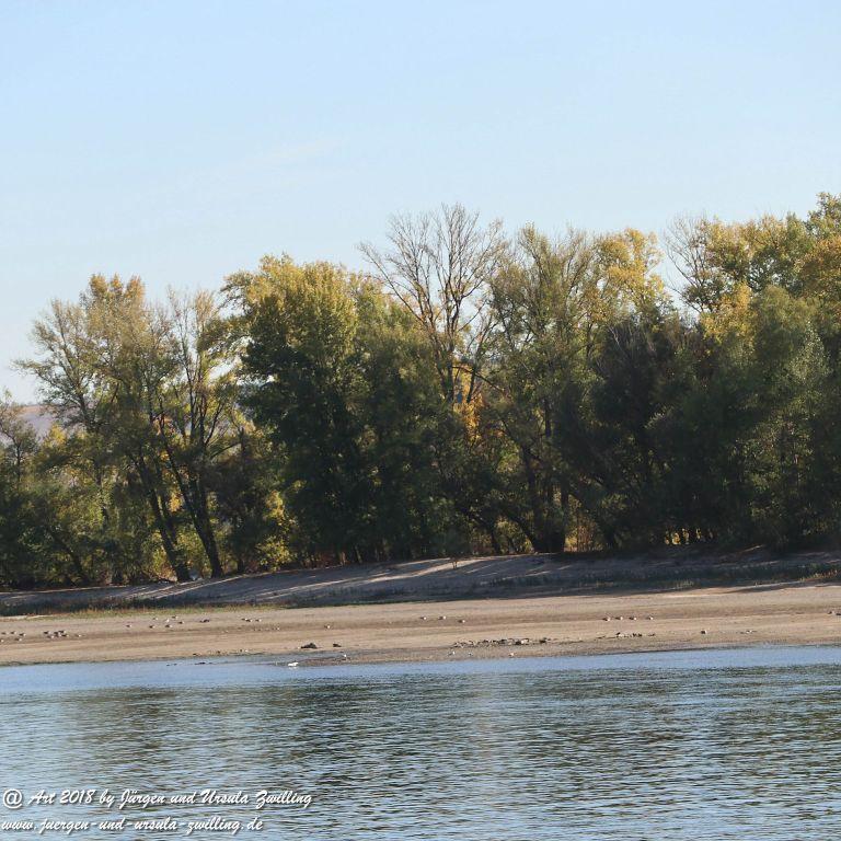 Niedrigwasser am Rhein - Rüdesheim im Rheingau