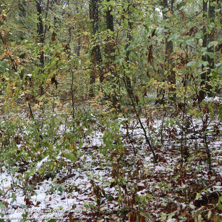 Philosophische Bildwanderung Hochbergsteig Bad Urach - Schwäbische Alb
