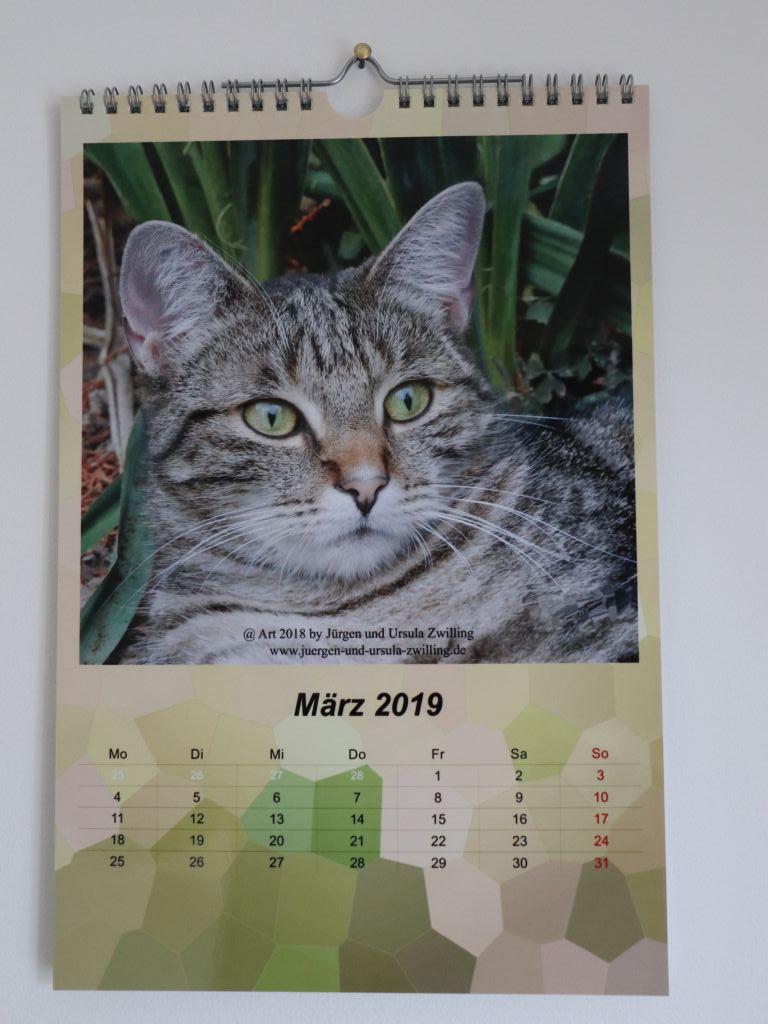 Galerie Kalender 2019 Katze Mimi