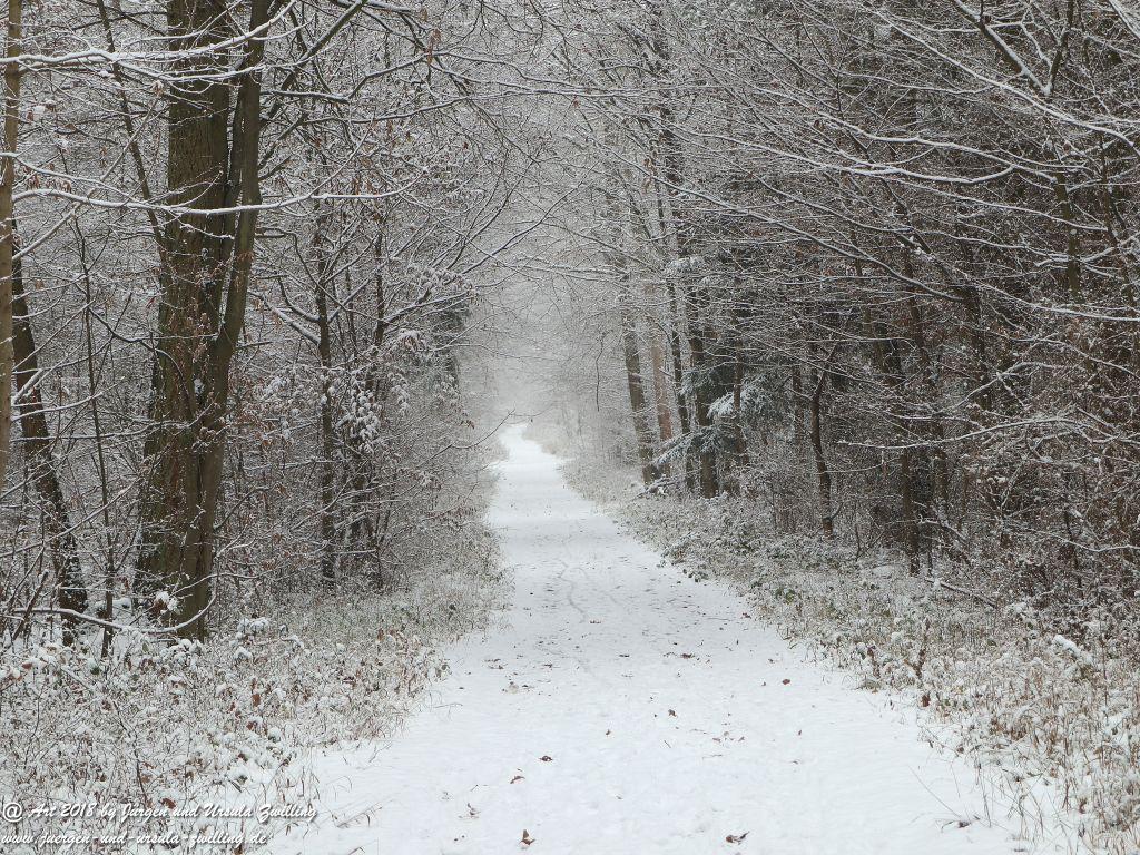 Rheinhessen in weiß (Schnee - Felder Mainz Finthen und Ober Olmer Wald)