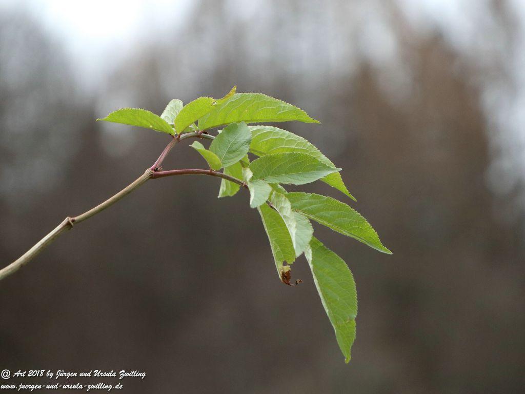 Philosophische Bildwanderung - Partnachklamm - Kaiserschmarrn Alm - Partnach Alm - Garmisch Partenkirchen