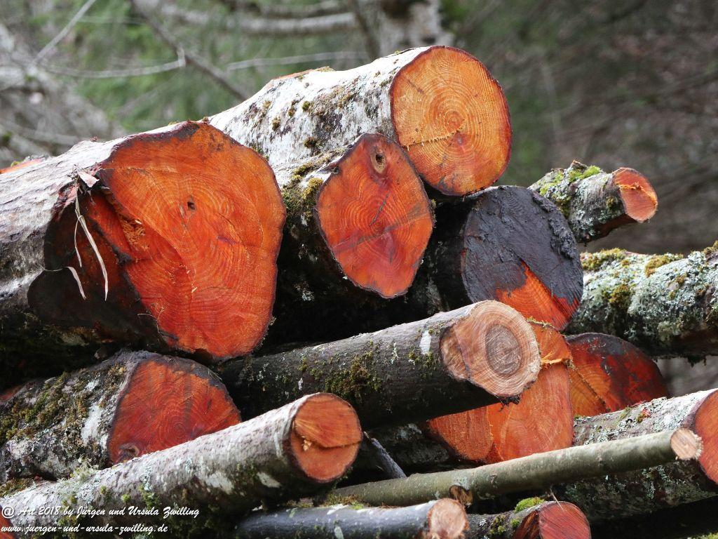 Philosophische Bildwanderung - Partnachklamm - Kaiserschmarrn Alm - Partnach Alm - Garmisch Partenkirchen