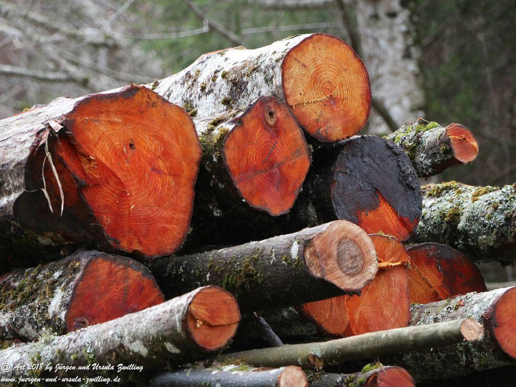 Philosophische Bildwanderung - Partnachklamm - Kaiserschmarrn Alm - Partnach Alm - Garmisch Partenkirchen
