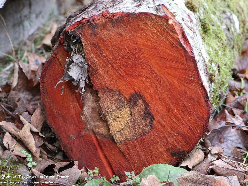 Philosophische Bildwanderung - Partnachklamm - Kaiserschmarrn Alm - Partnach Alm - Garmisch Partenkirchen