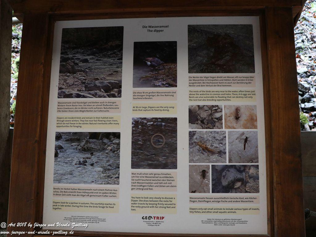 Philosophische Bildwanderung - Partnachklamm - Kaiserschmarrn Alm - Partnach Alm - Garmisch Partenkirchen