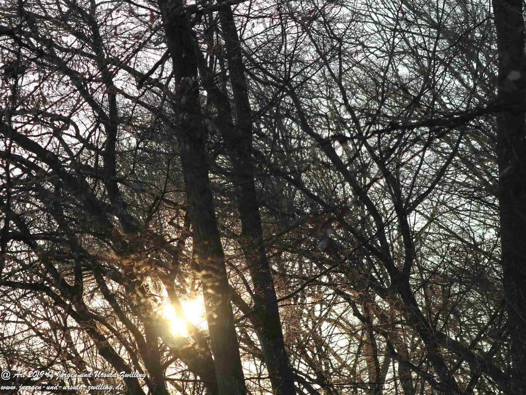 Sonnenaufgang in Mainz - Rheinhessen