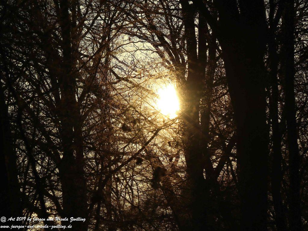Sonnenaufgang in Mainz - Rheinhessen