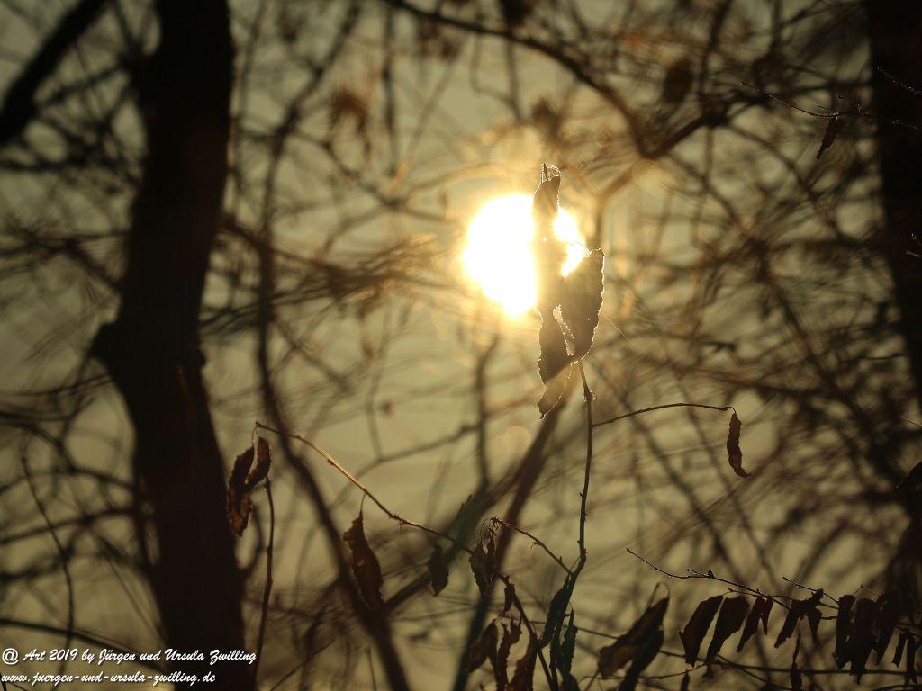 Sonnenaufgang in Mainz - Rheinhessen