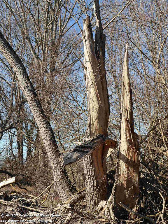 Philosophische Bildwanderung - Heidenfahrt - Rhein - Rheinhessen