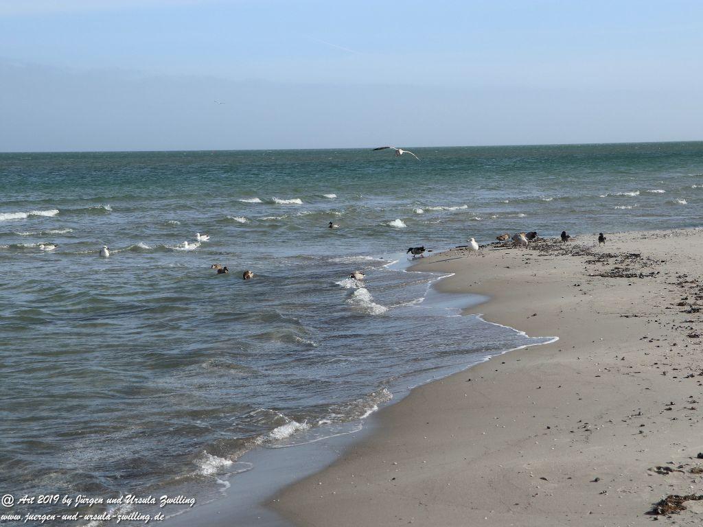 Philosophische Bildwanderung Prerow nach Zingst - Mecklenburg-Vorpommern - Ostsee