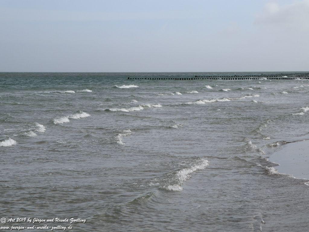 Philosophische Bildwanderung Prerow nach Zingst - Mecklenburg-Vorpommern - Ostsee
