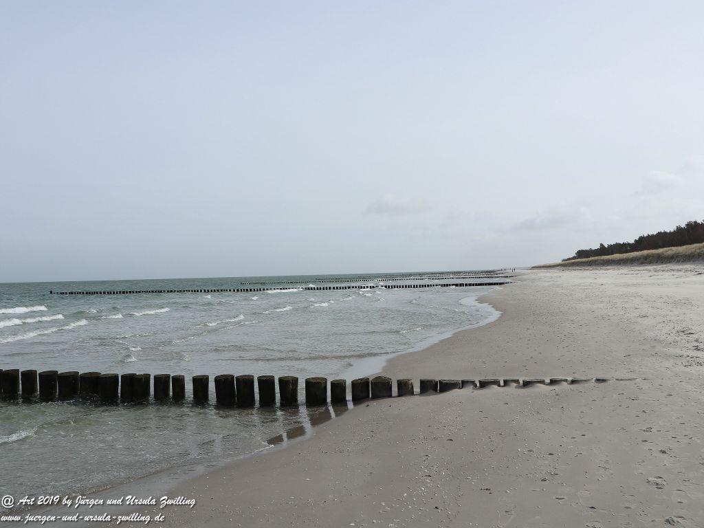 Philosophische Bildwanderung Prerow nach Zingst - Mecklenburg-Vorpommern - Ostsee